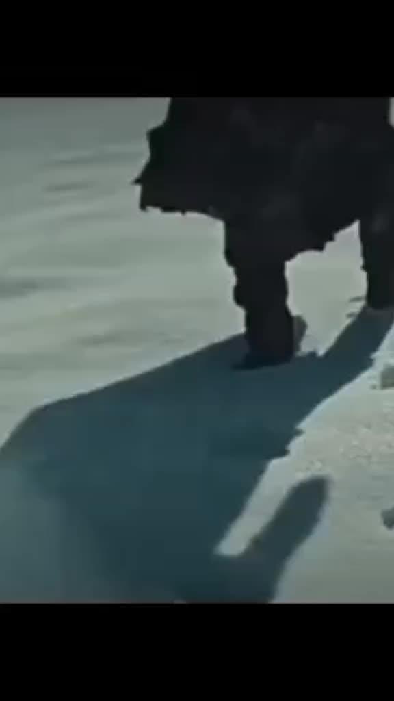 @Карина☑️
