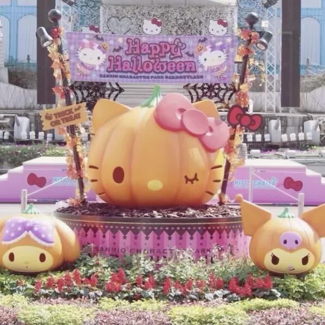 @๐ฟ๐ฟ ๐ฆนห°.๐ ฬเฟ*