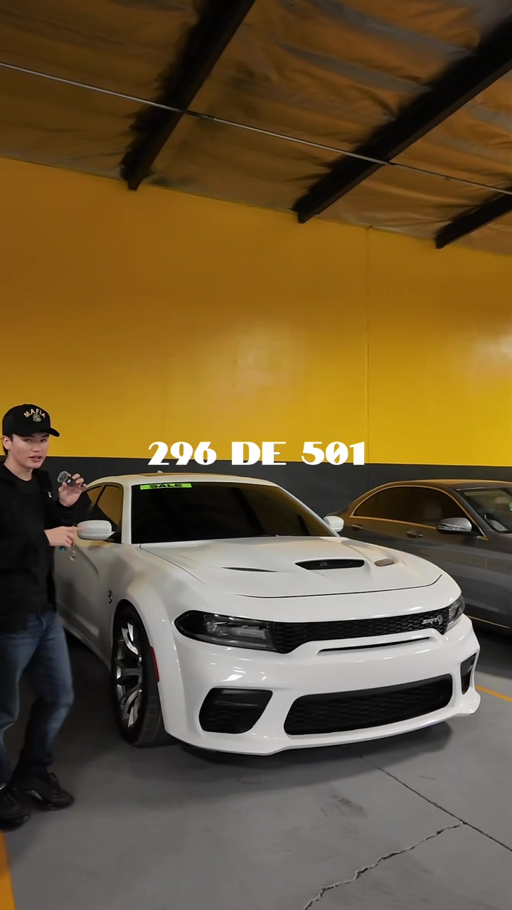@sleofis