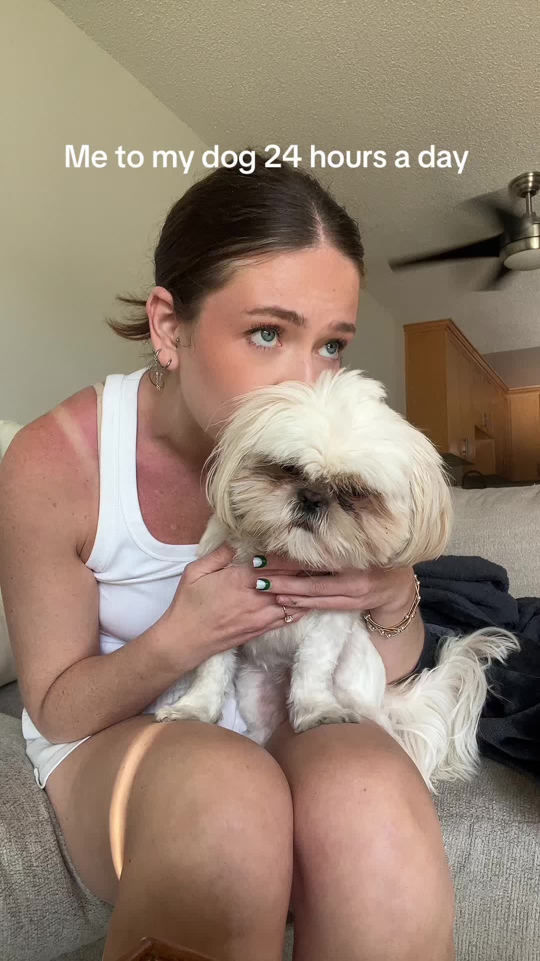 @Hugh the Shih Tzu