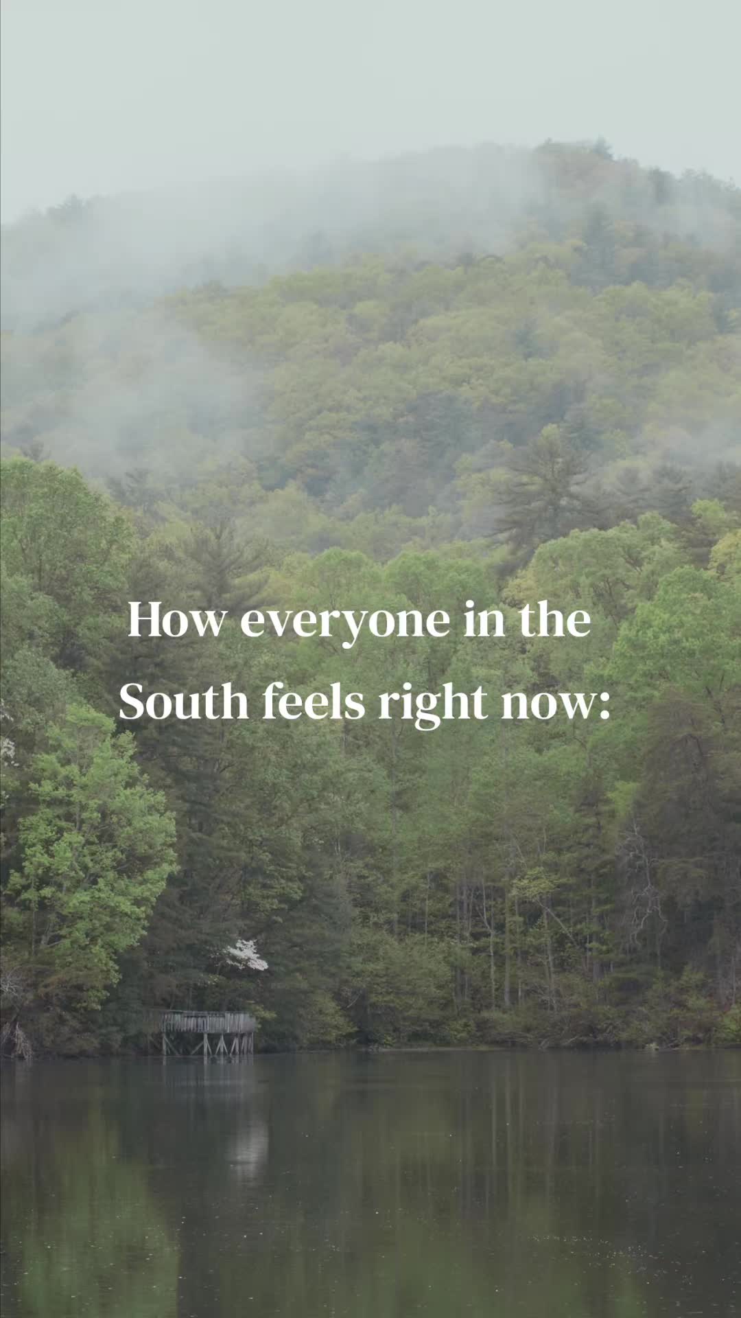 @Wander North Georgia