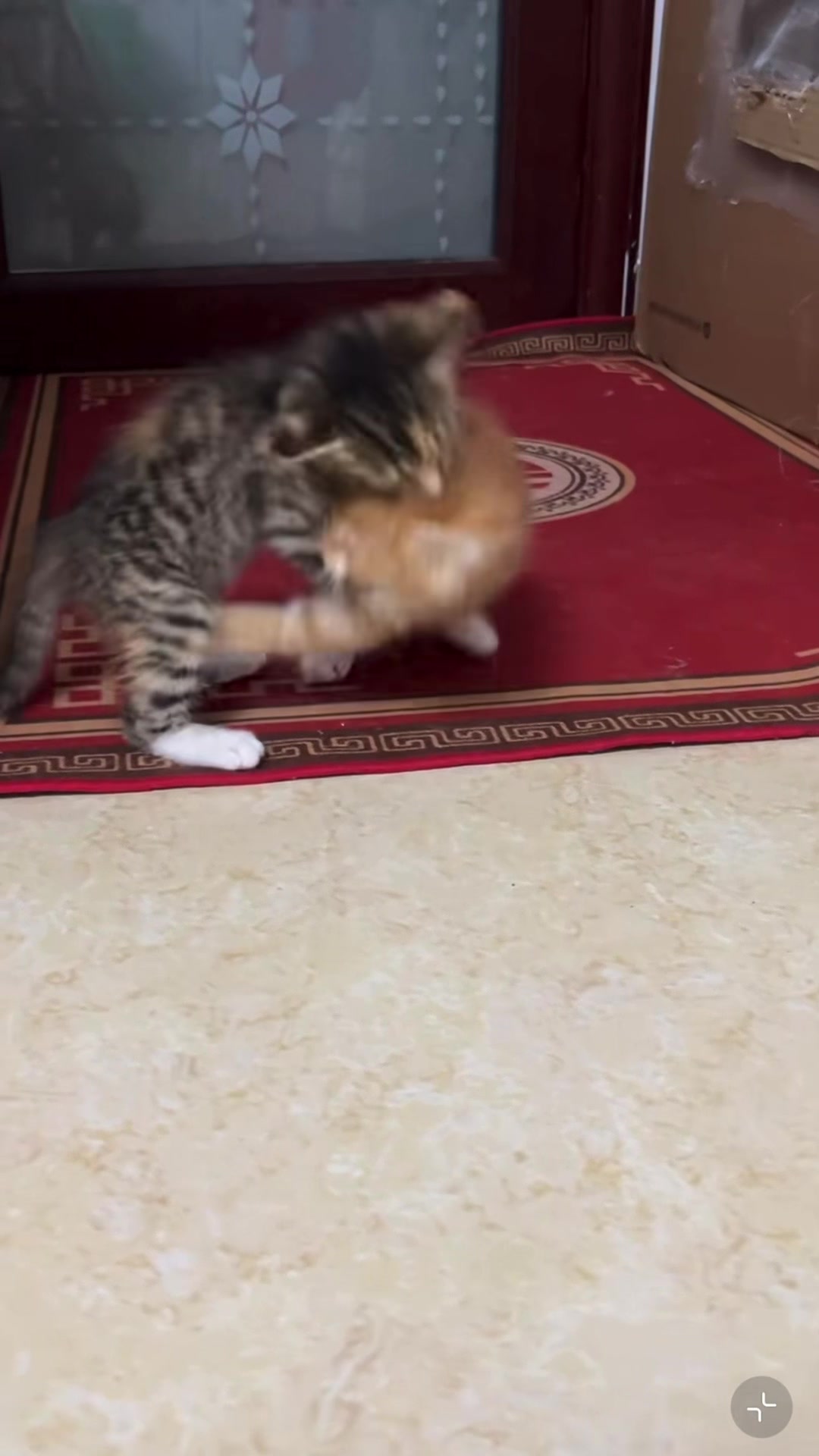 @My Daily Dose of Aww
