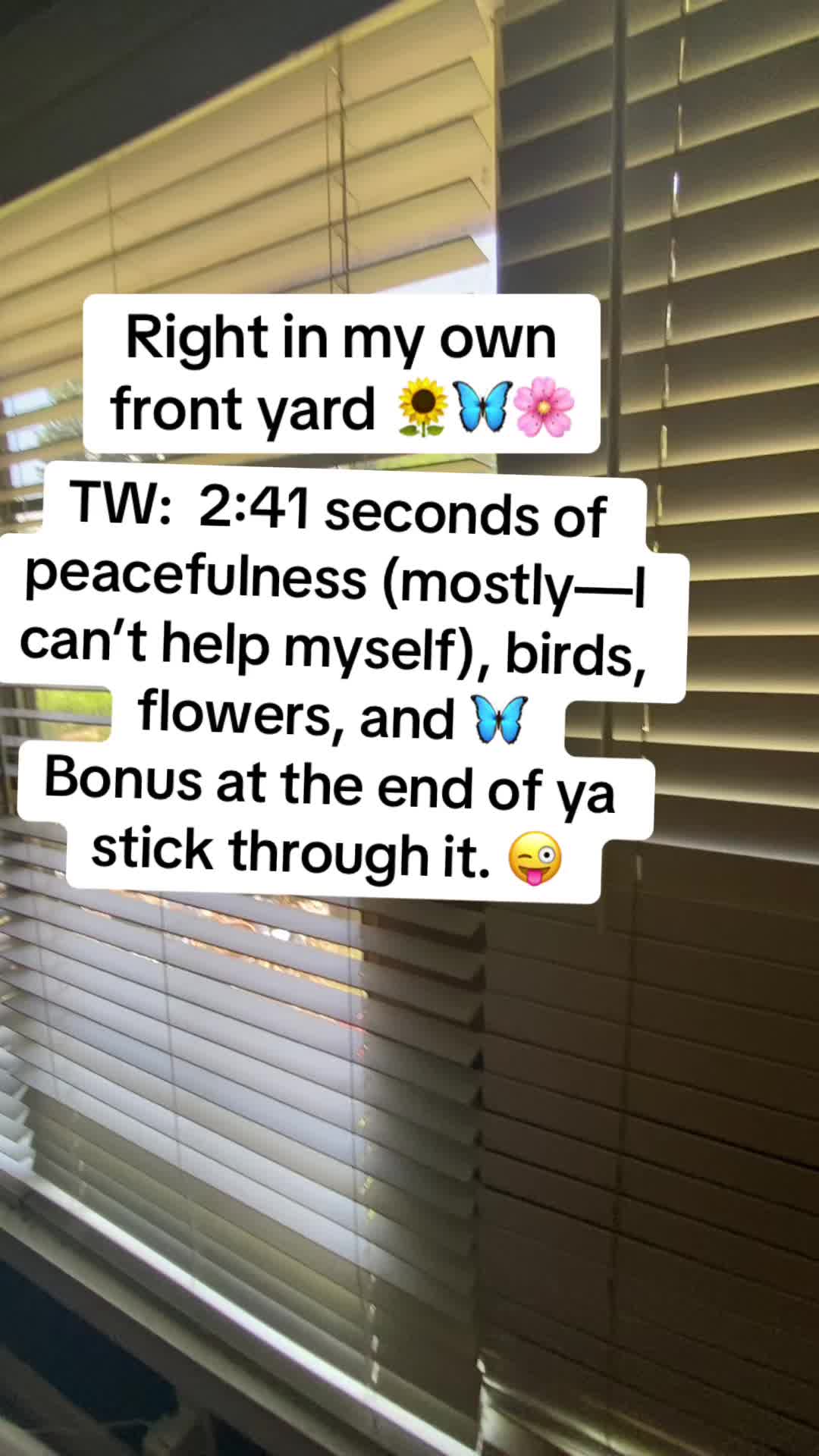 @SpiritSong🦋
