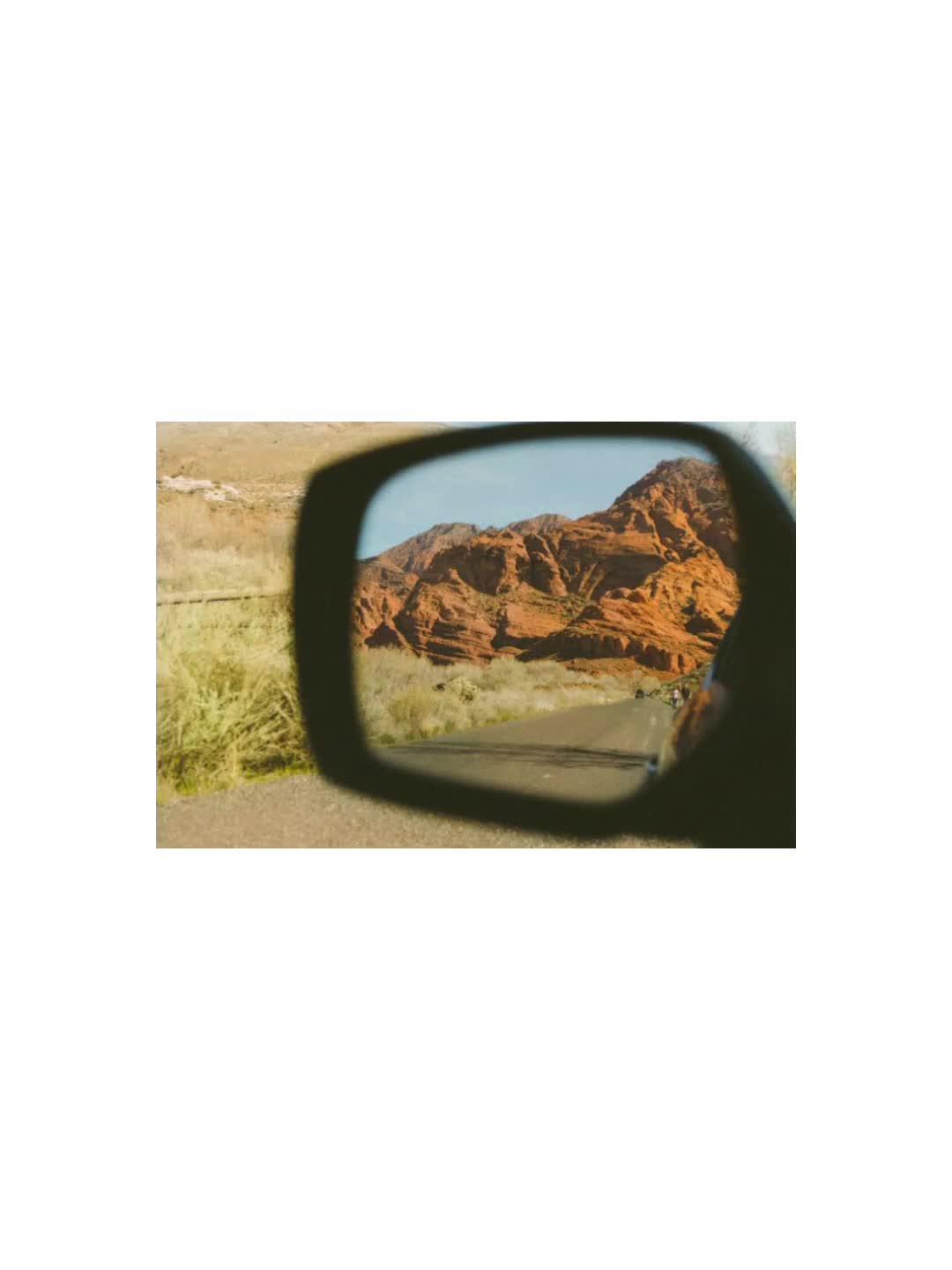 @🌴