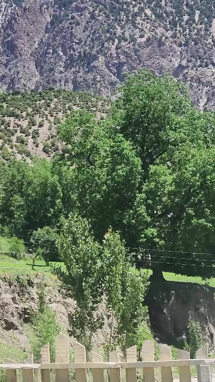 @🇵🇰 ارشد خان 🇸🇦  ( F) &bull;(A)
