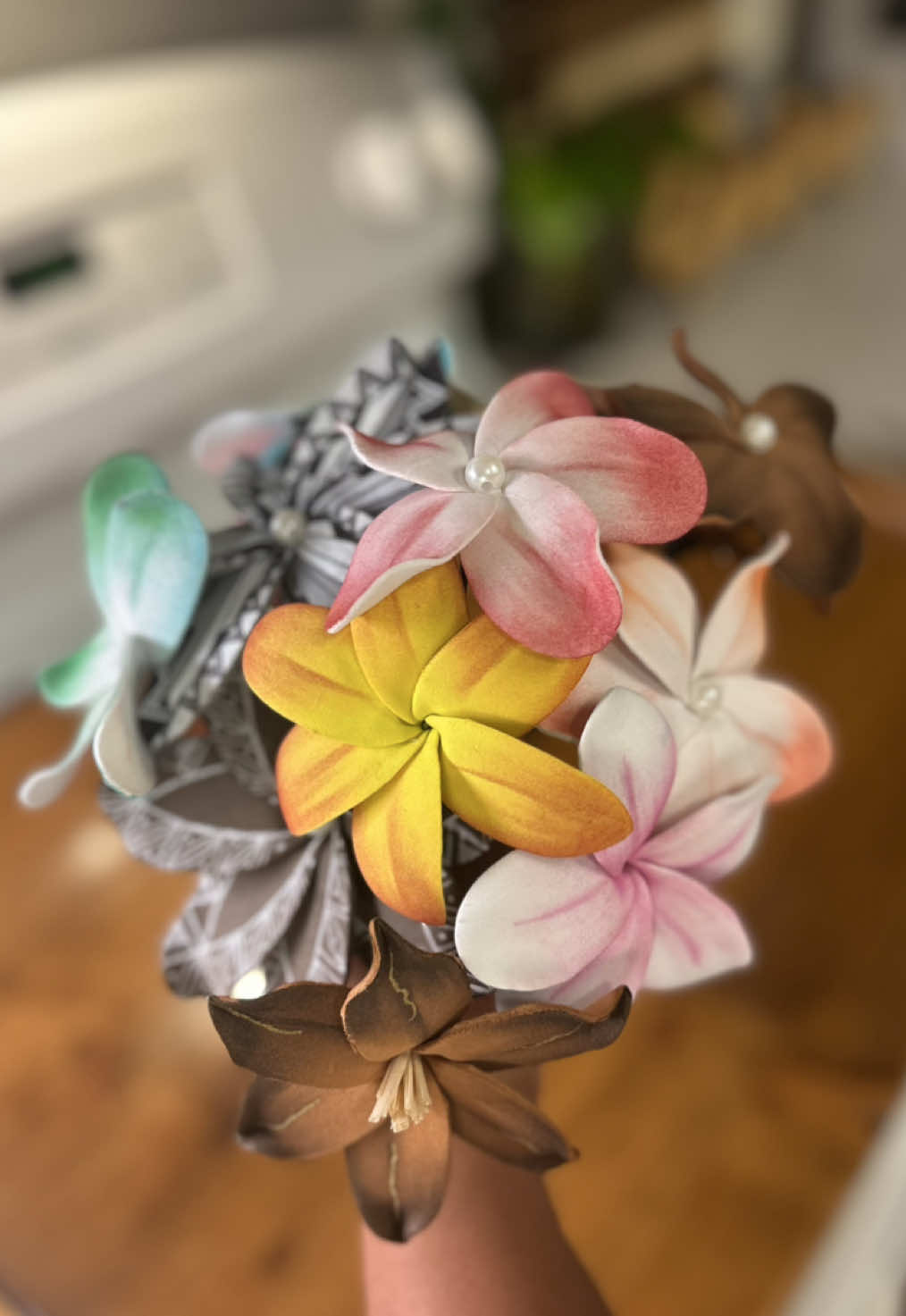 @SyLein👩🏻&zwj;🍳🇫🇲