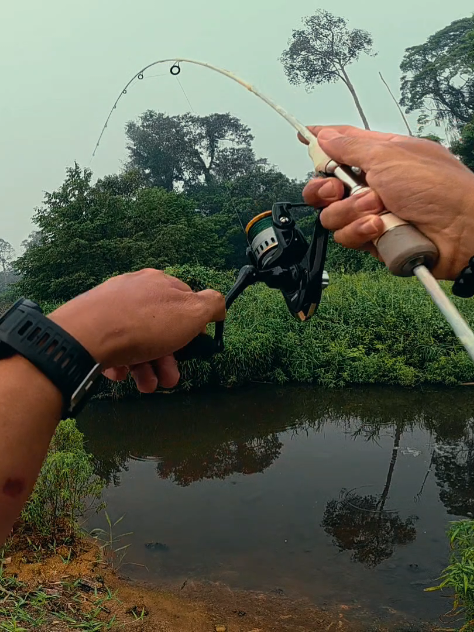 @Damz Strike Fishing
