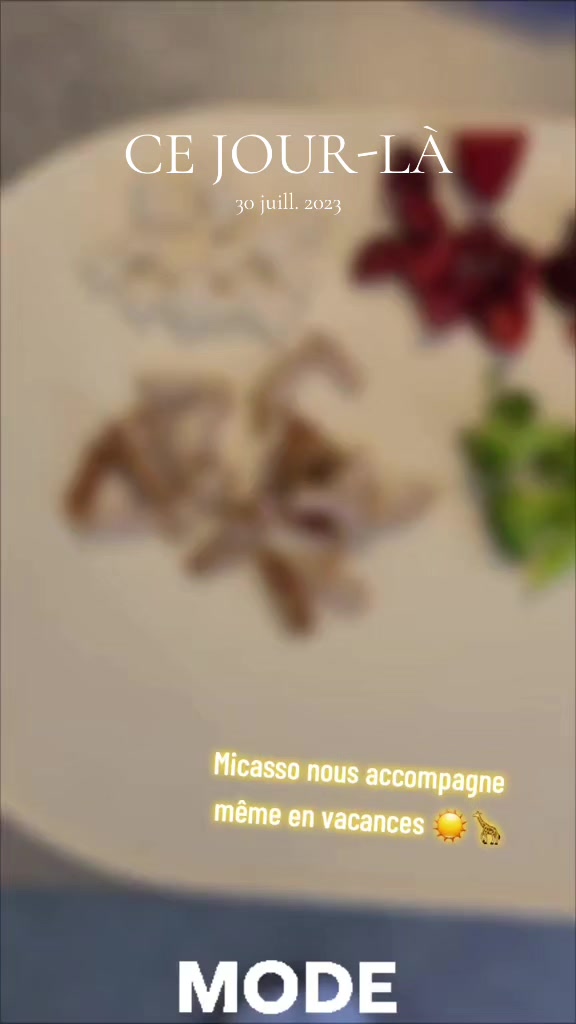 @Ⲙᥱ́ᥣ&iota;ssᥲ ✨️