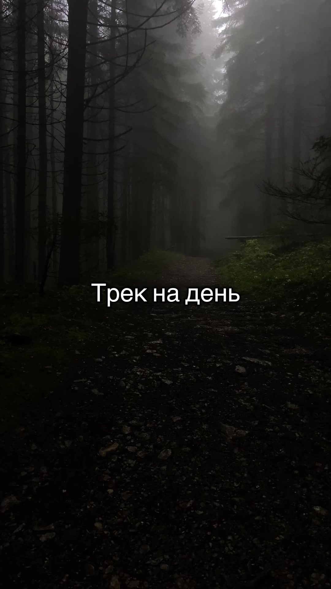 @TonyDaMusic
