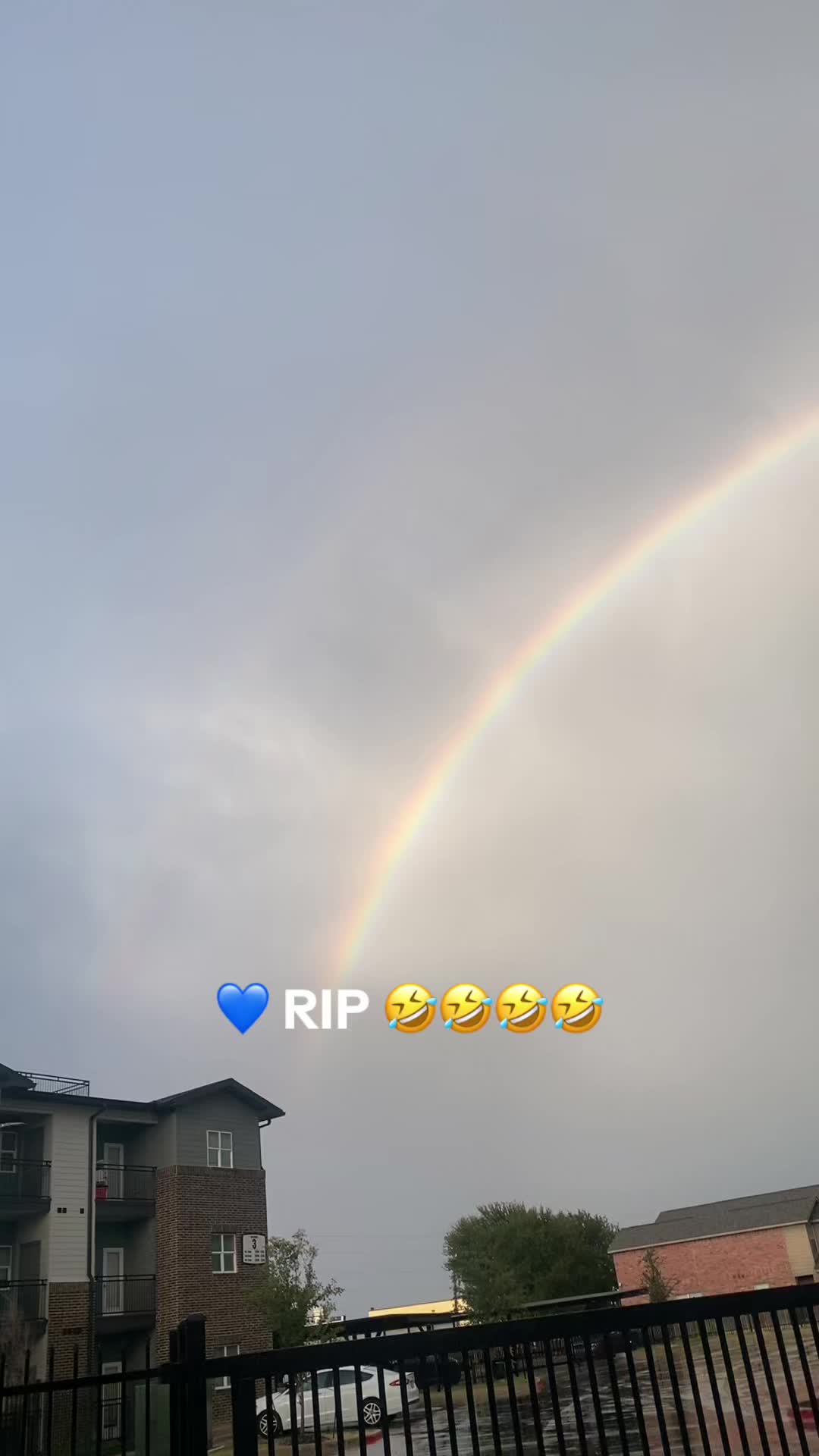 @214Teddy
