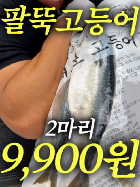 @해운대송사장