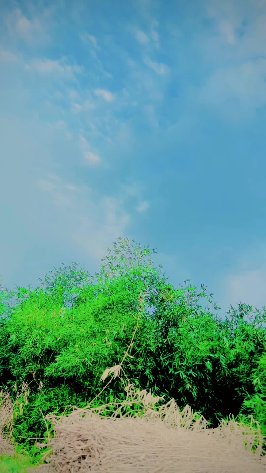@𝕊𝕙𝕒𝕙𝕫𝕒𝕕 🦅🦅