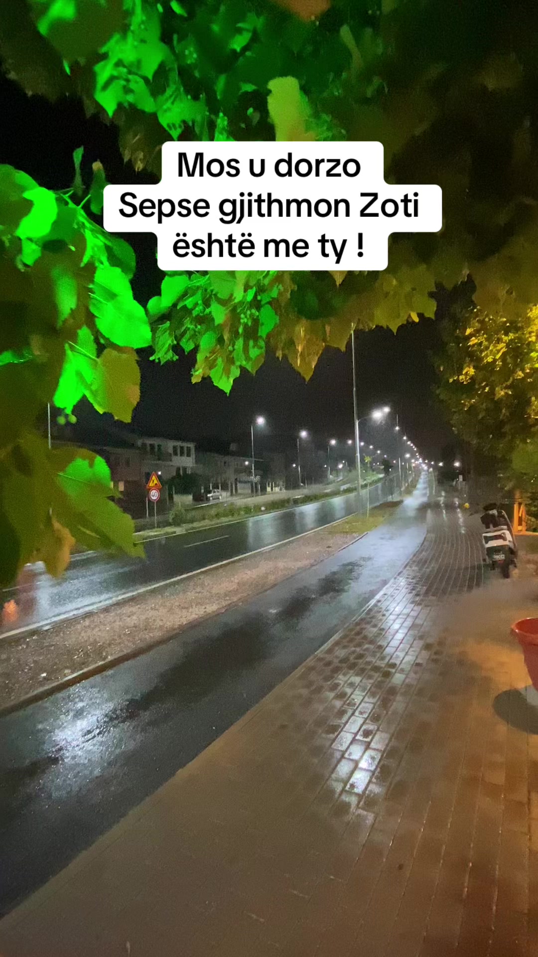 @besmircurriphotographer🇽🇰