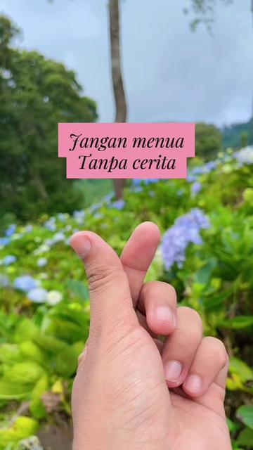 @albeehabibie