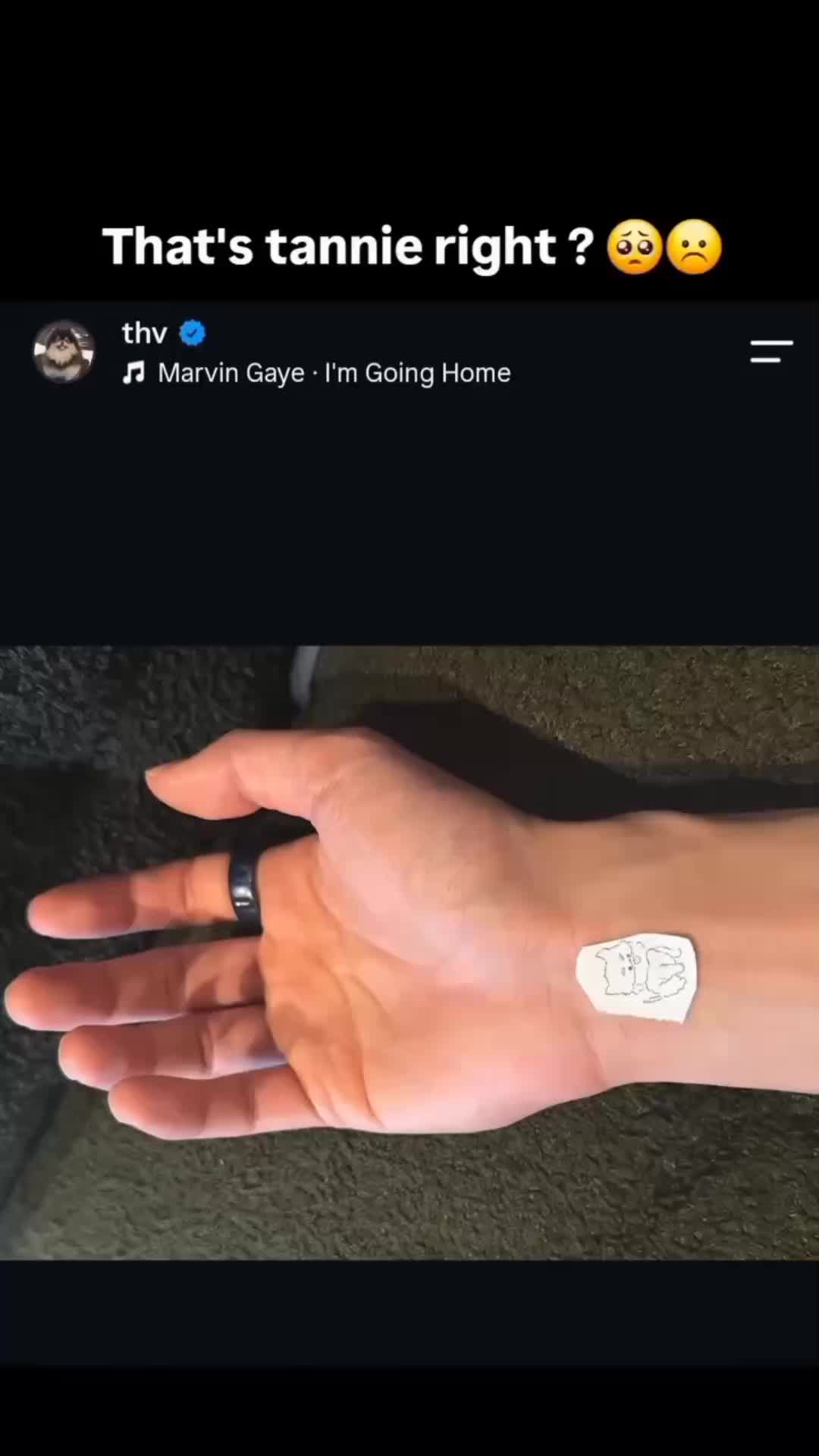 @dhaLhayne