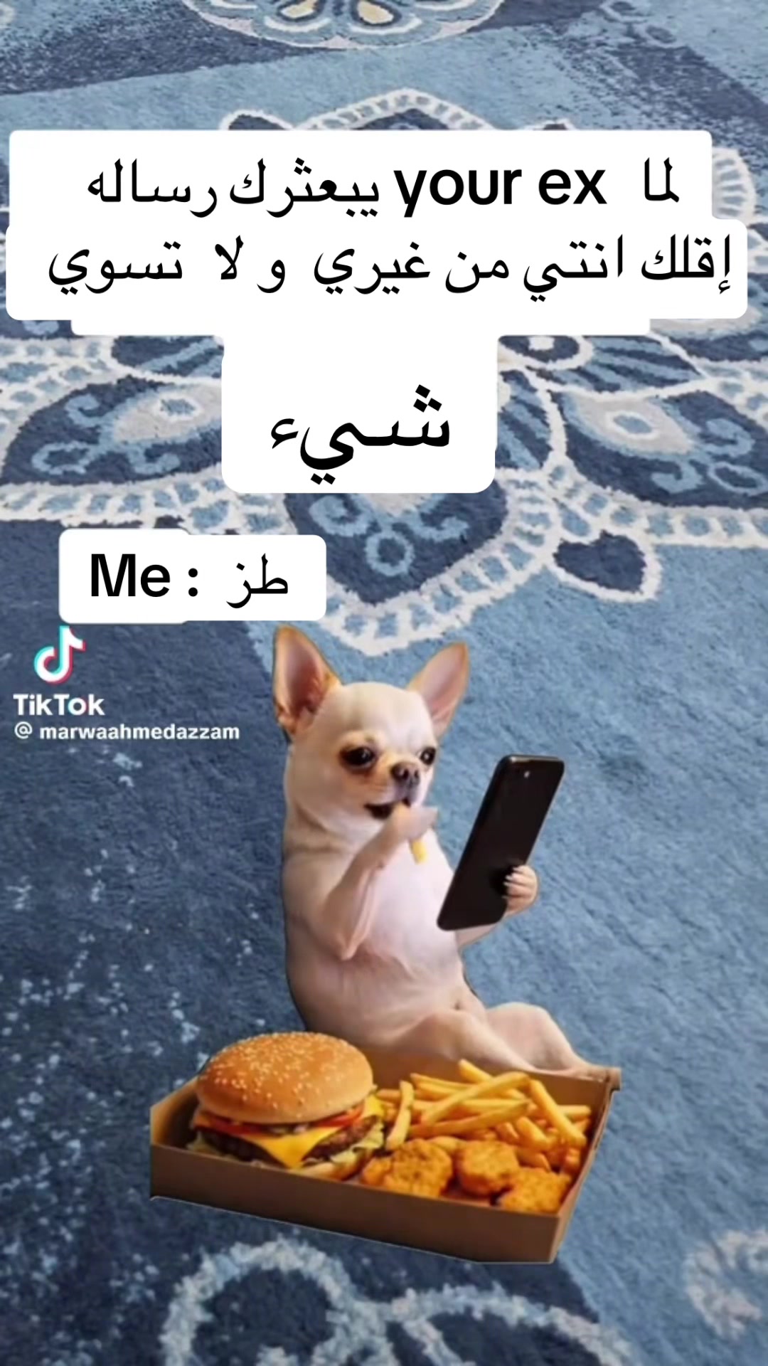 @HaifaUSA✈️ 🧿 🇺🇸 🇹🇳