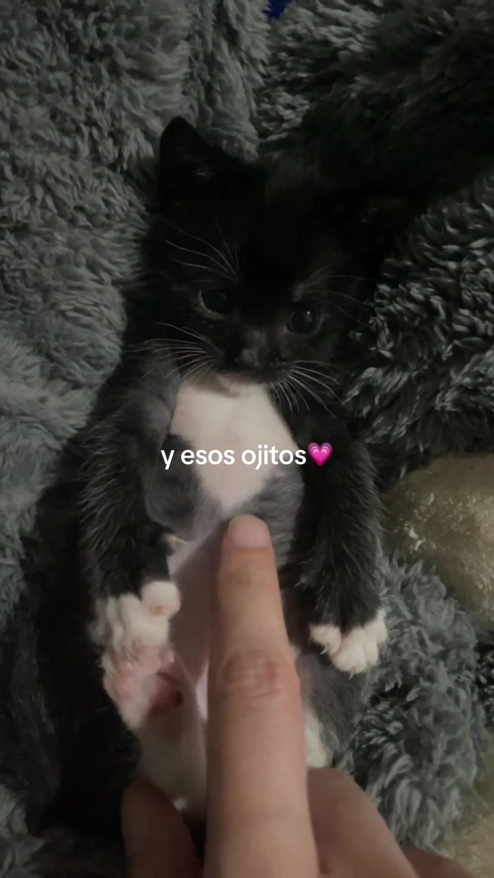@Rayito y negrita