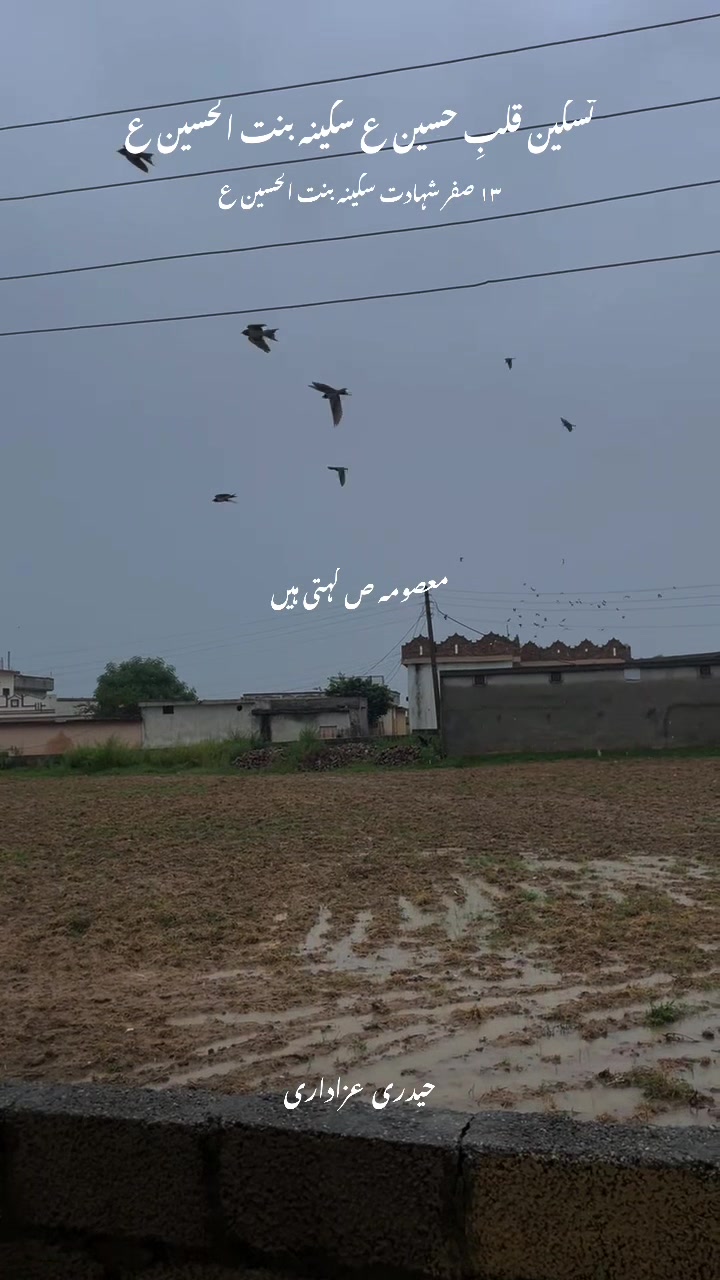 @کنزہ حیدری🖤