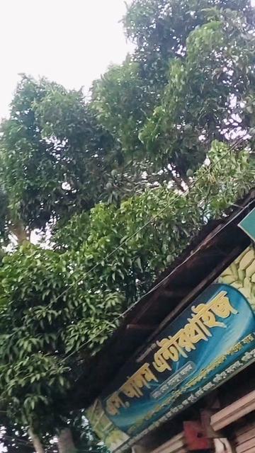 @ময়মনসিংহের পোলা