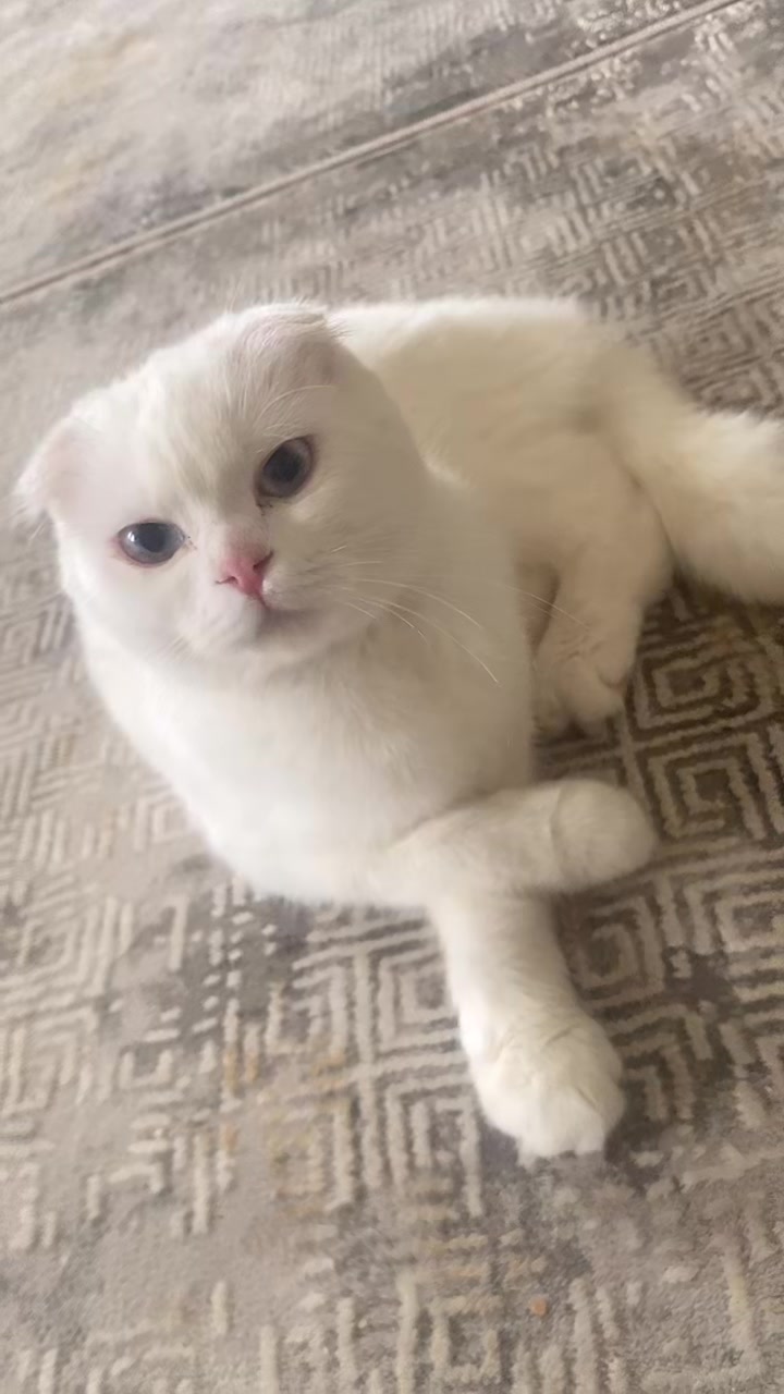 @Samsunlu laz kızı🖤🖤