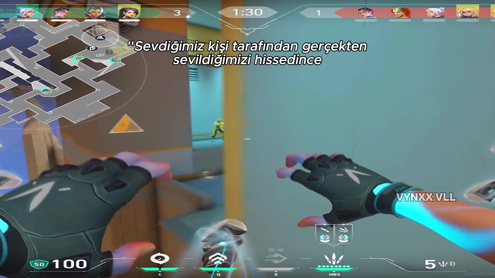 @vynxx.vll