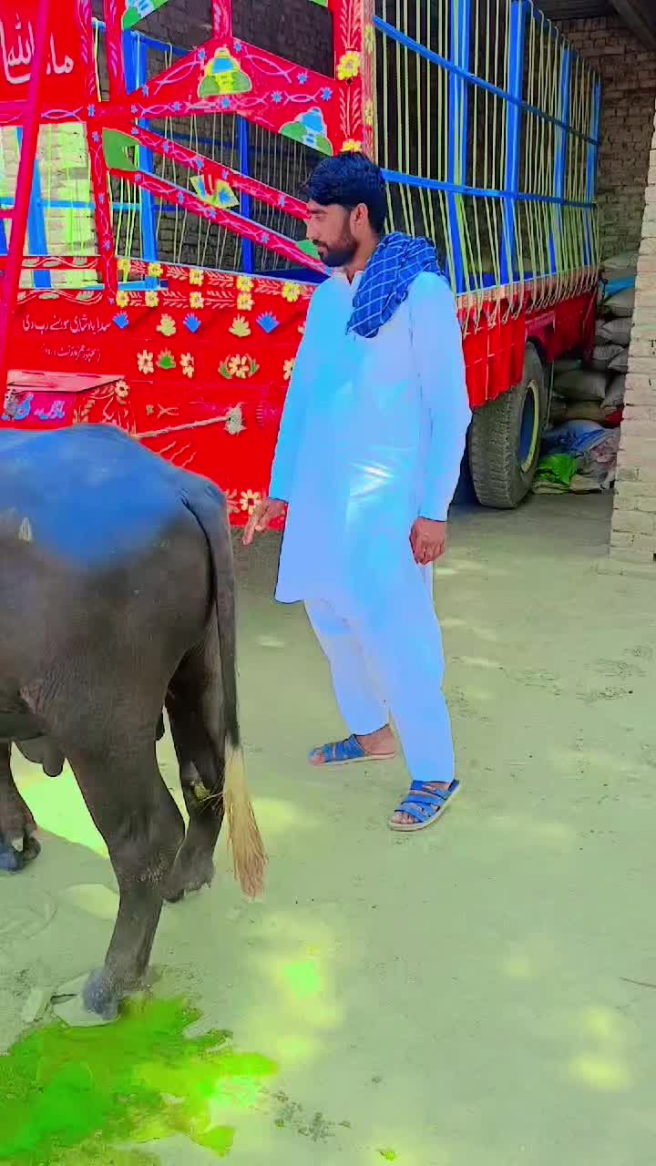 @fakhar 9696
