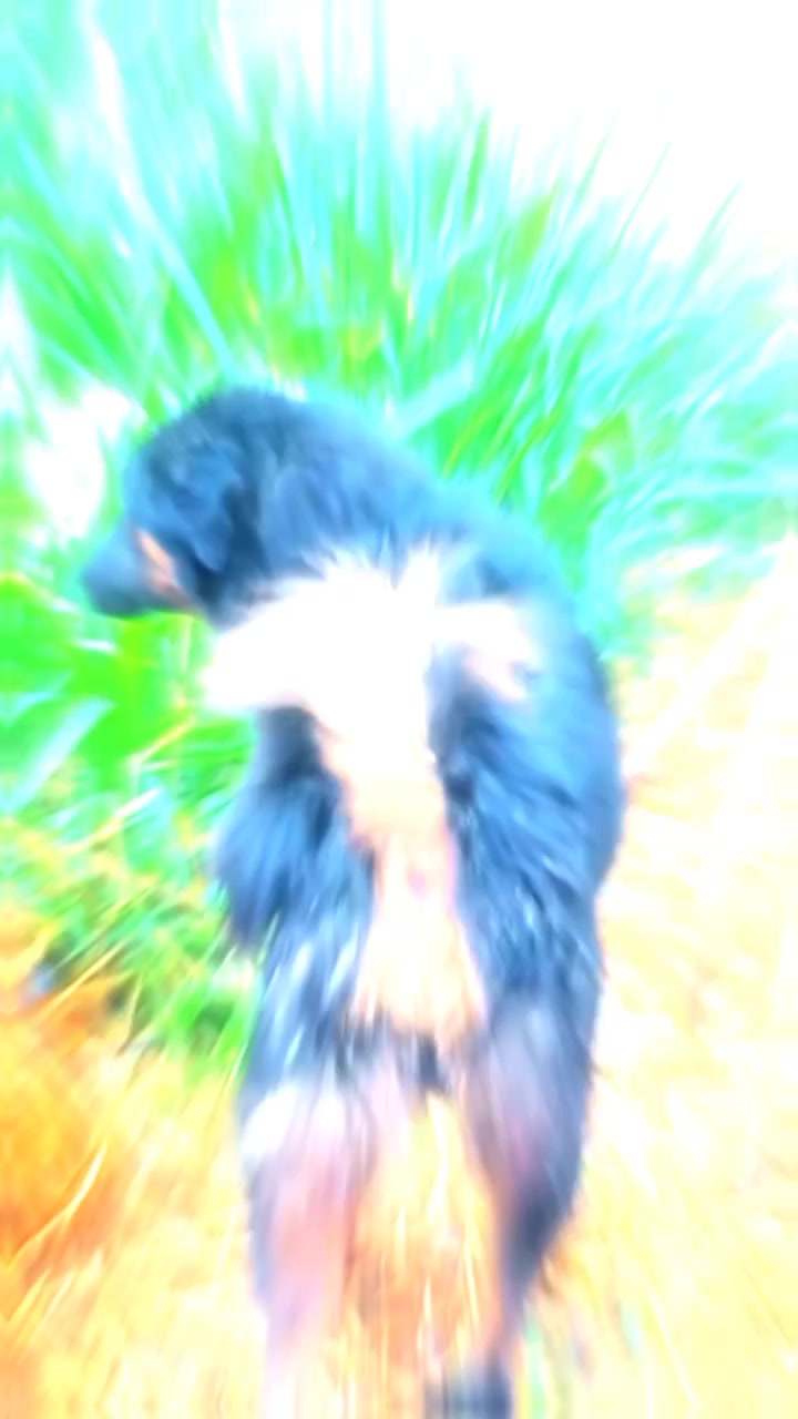 @.X乇ㄒㄒ尺丨ꔪ