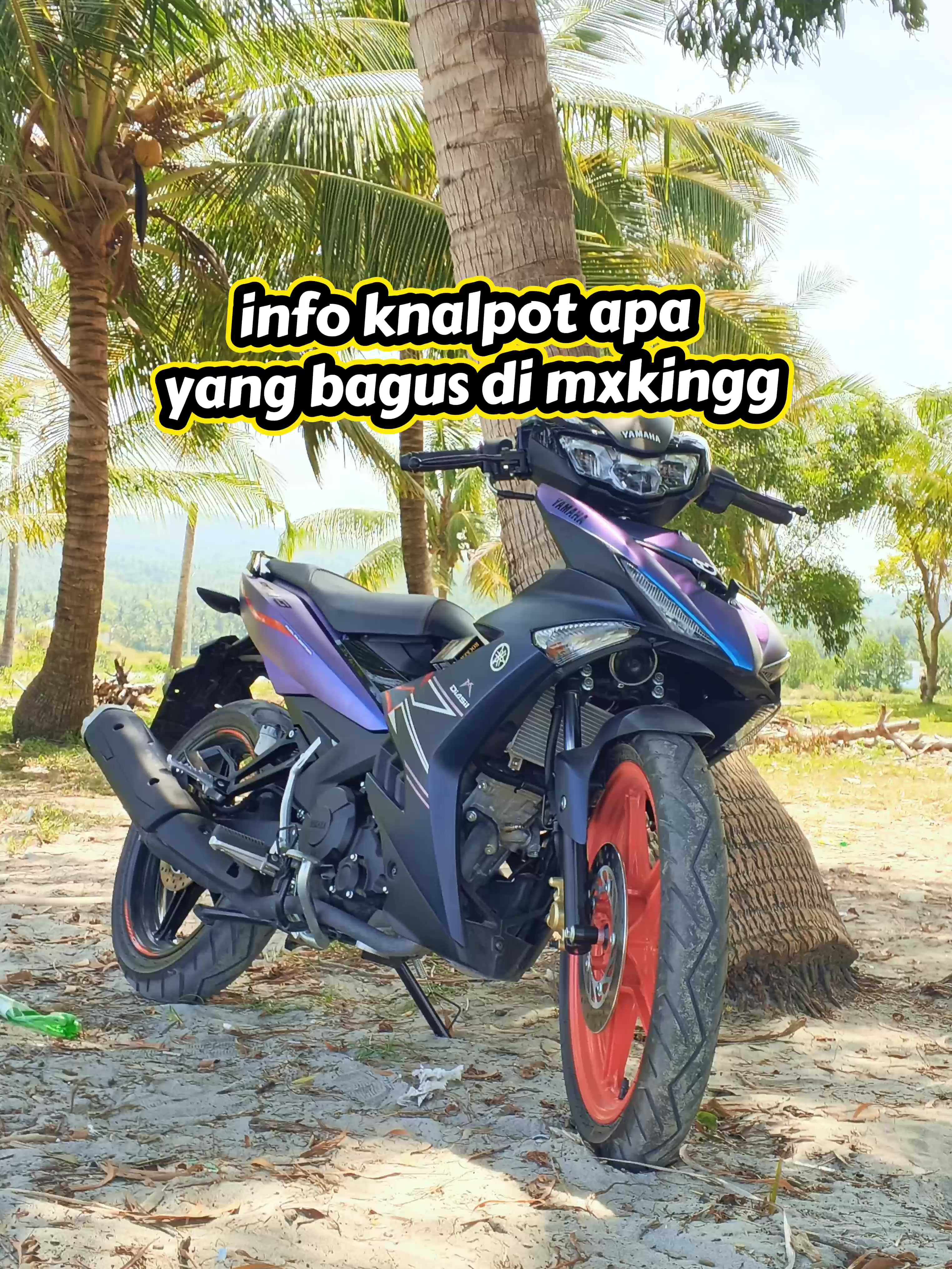 @Mx bocil🚀