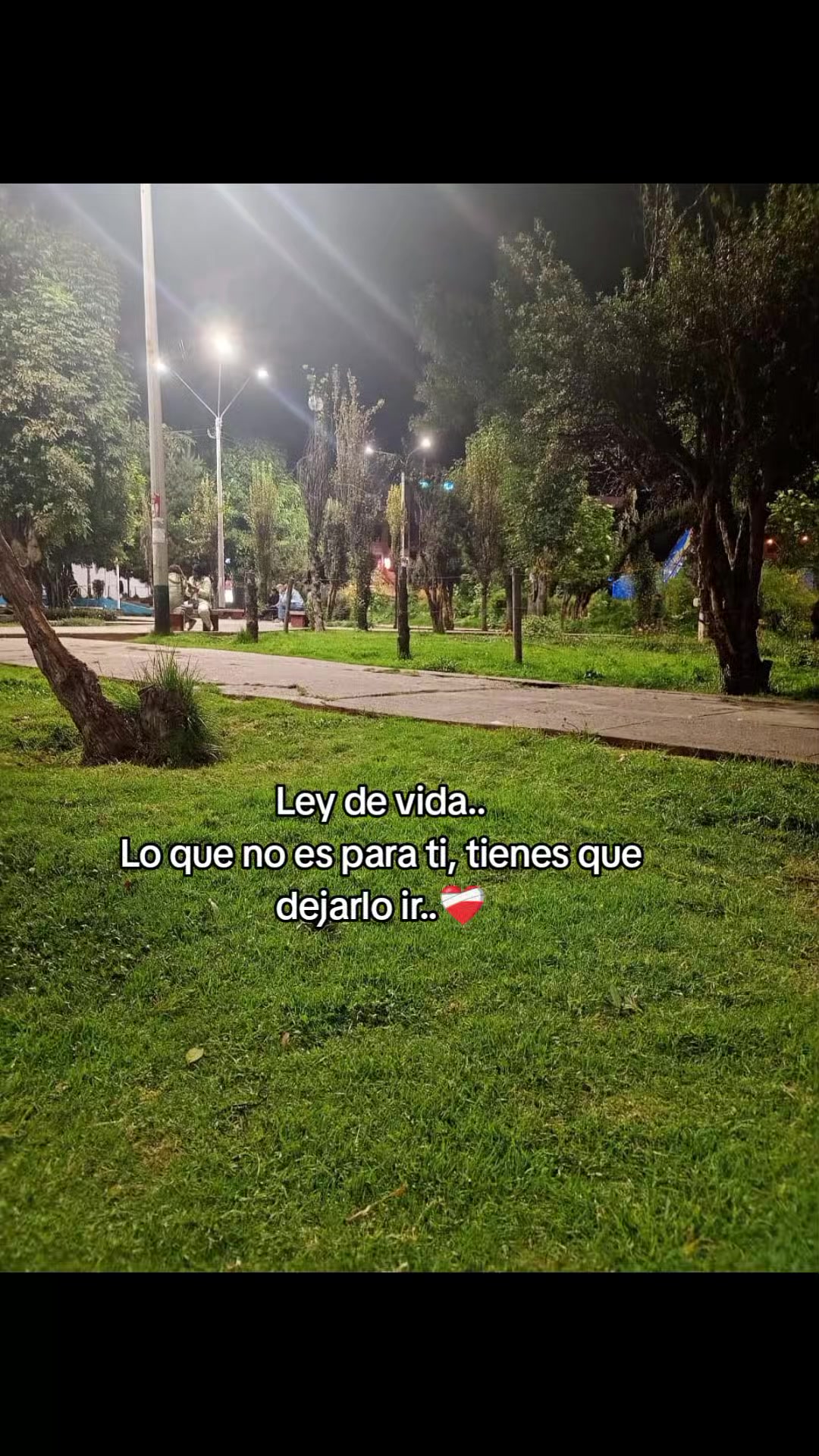 @User7567