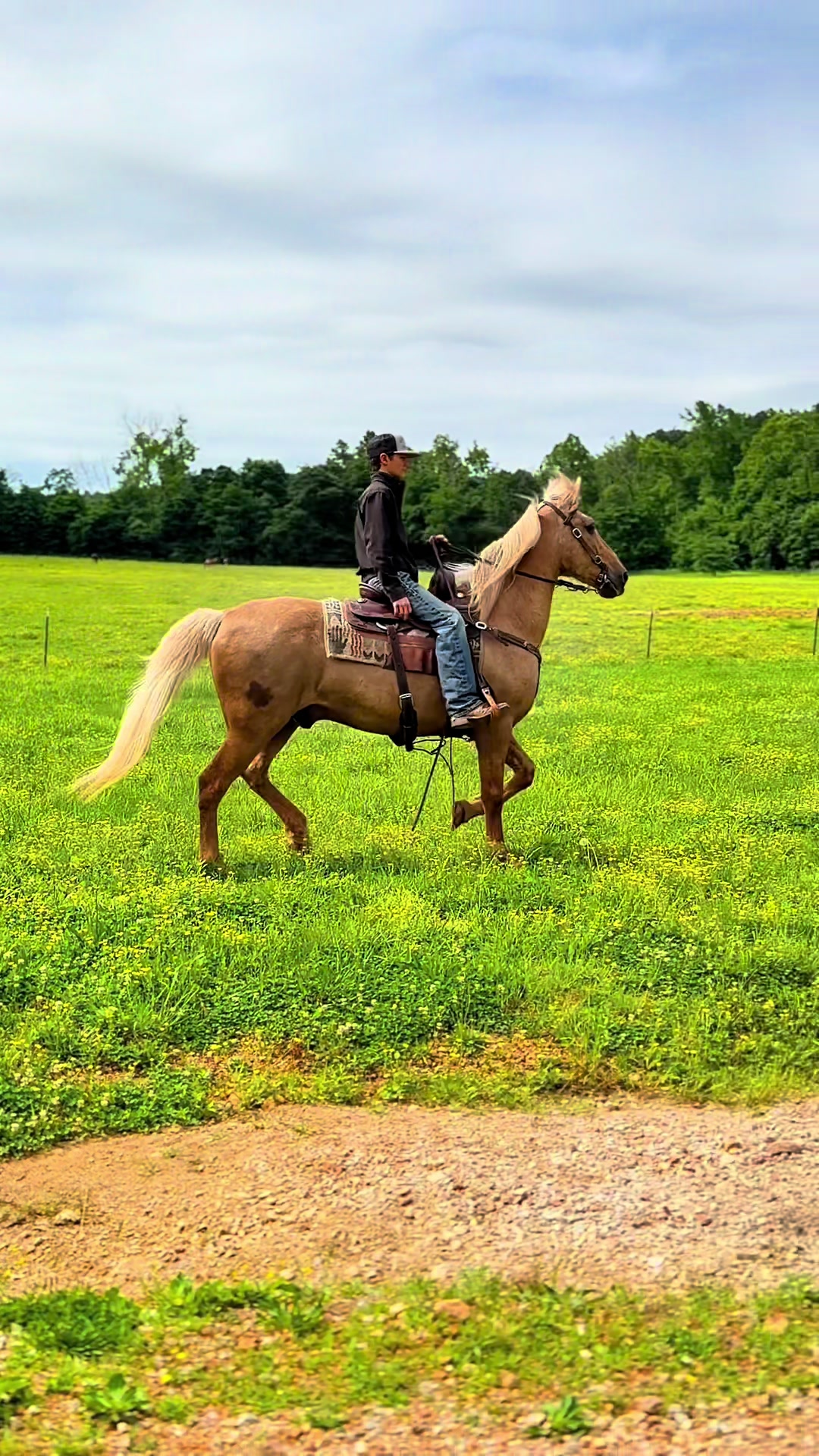 @Lucky D Ranch 🍀