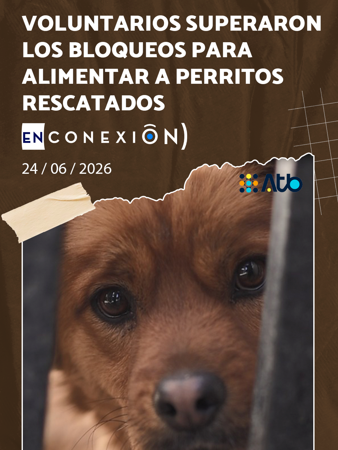 @Conexi&oacute;nbol