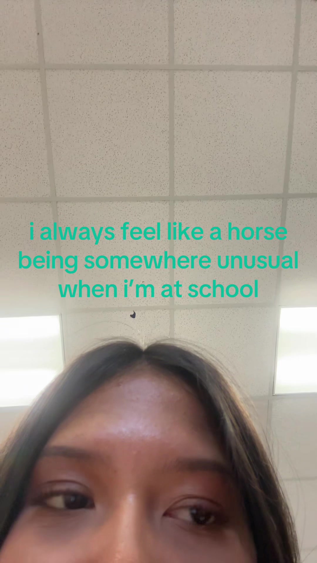 @kiavic