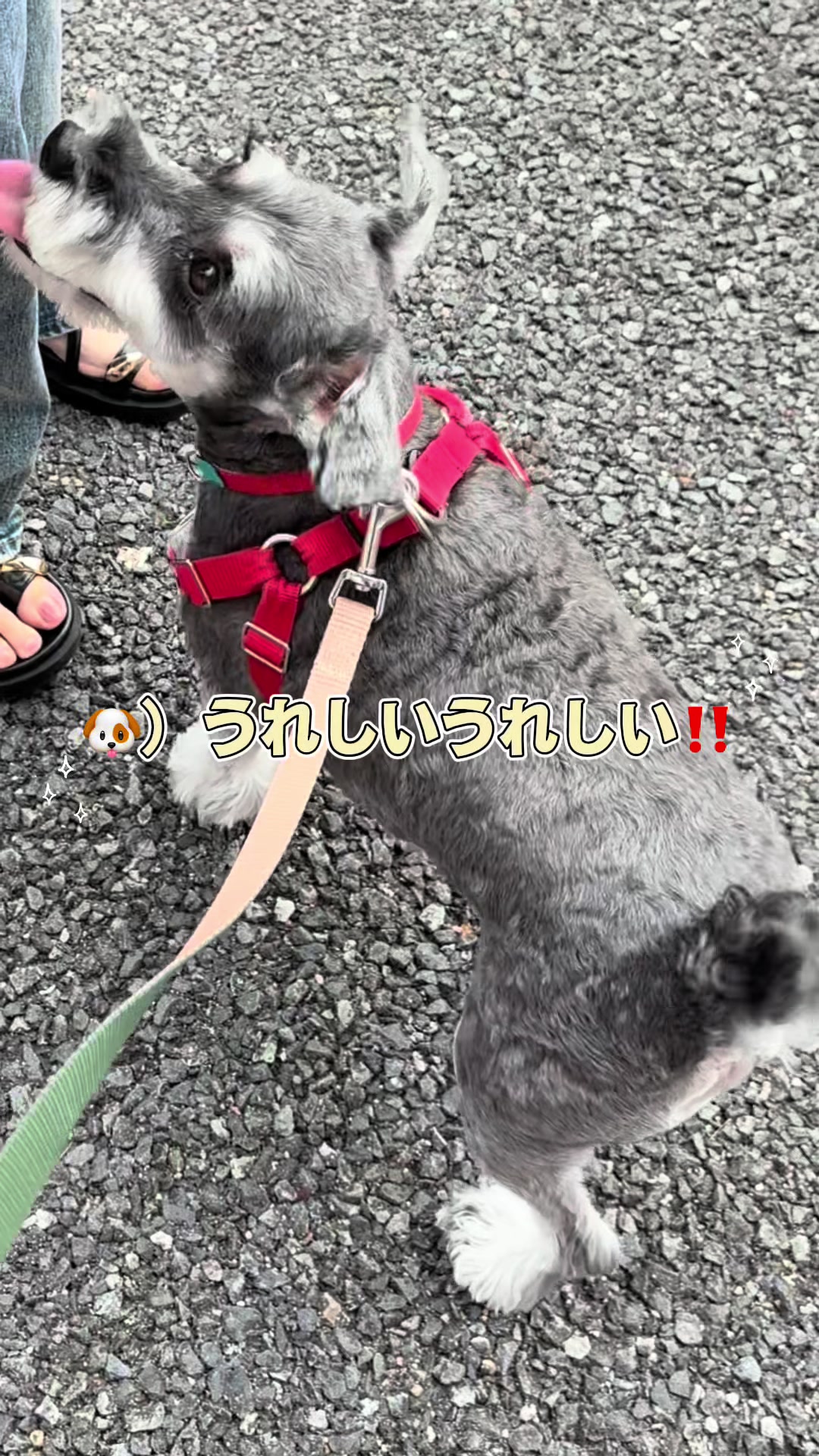 @ポルとムータンの大冒険