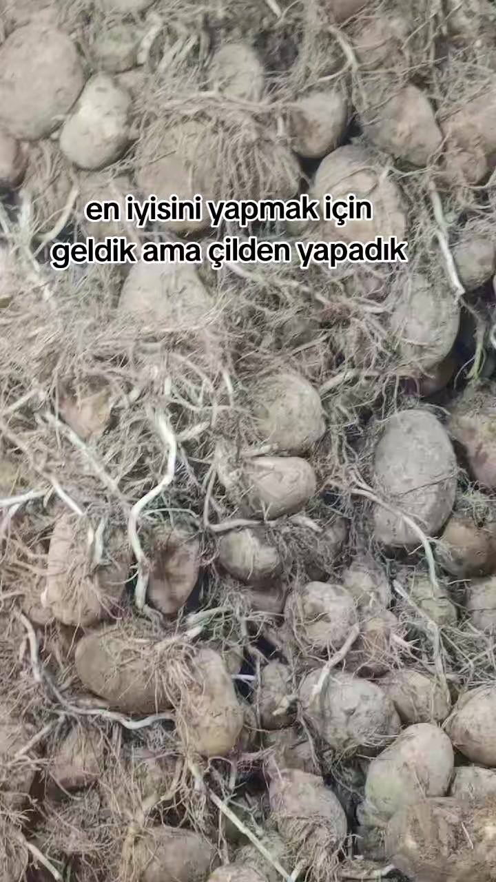 @MELOCAN