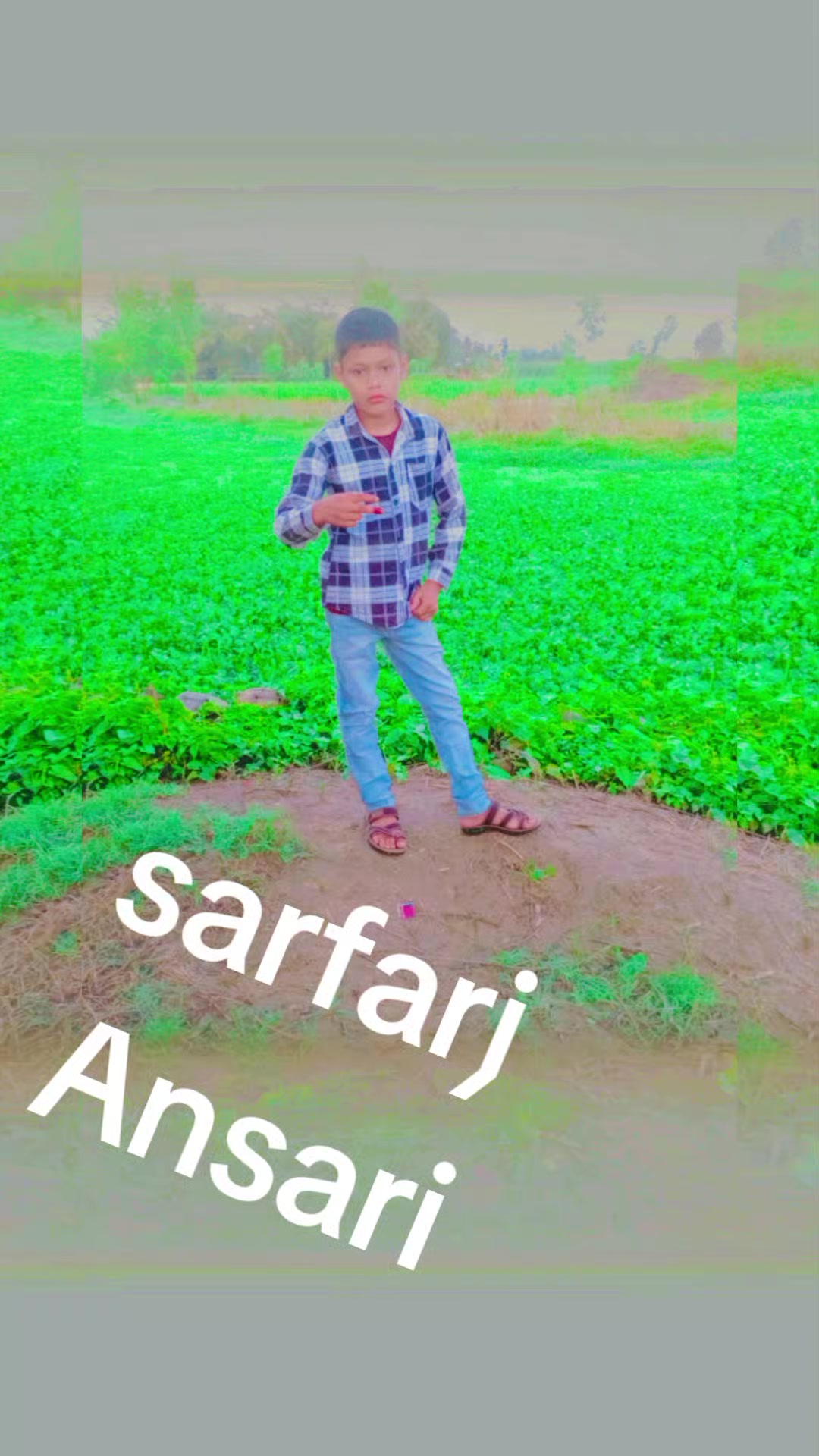 @ansarihuss
