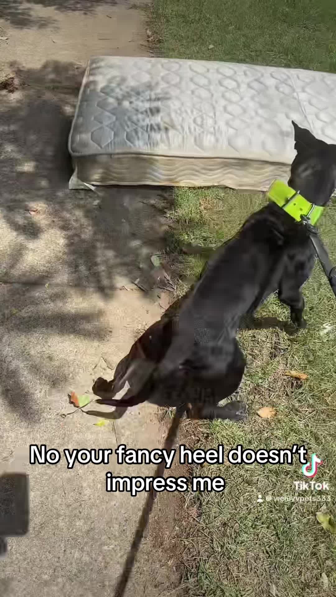 @CAZ
