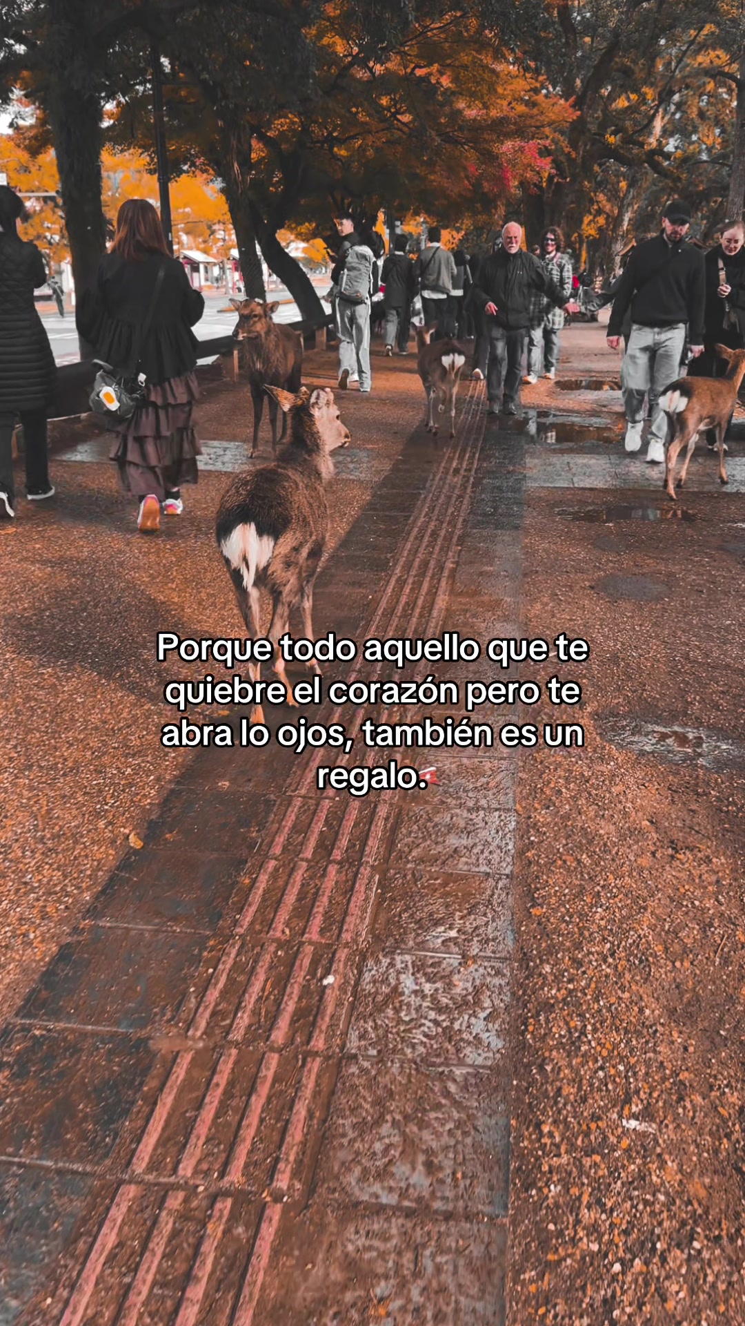 @Victoria Carrillo