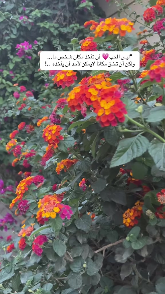 @خواطر العتيبي 👑