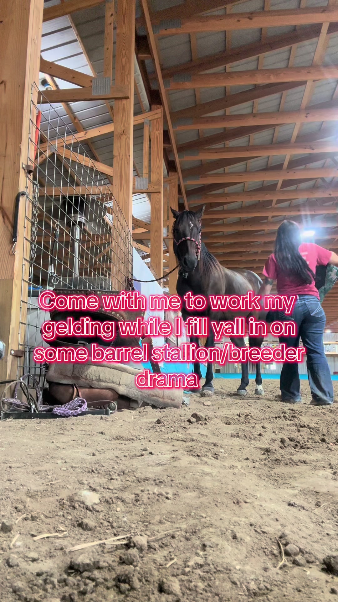 @Living Lucky Quarter Horses
