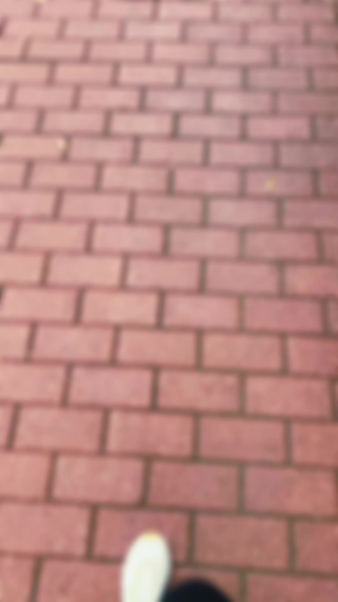 @Li.jan