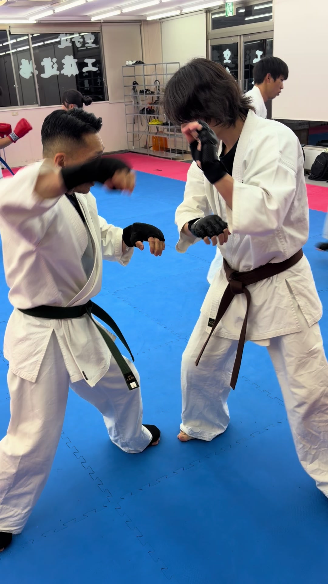 @kudodojo