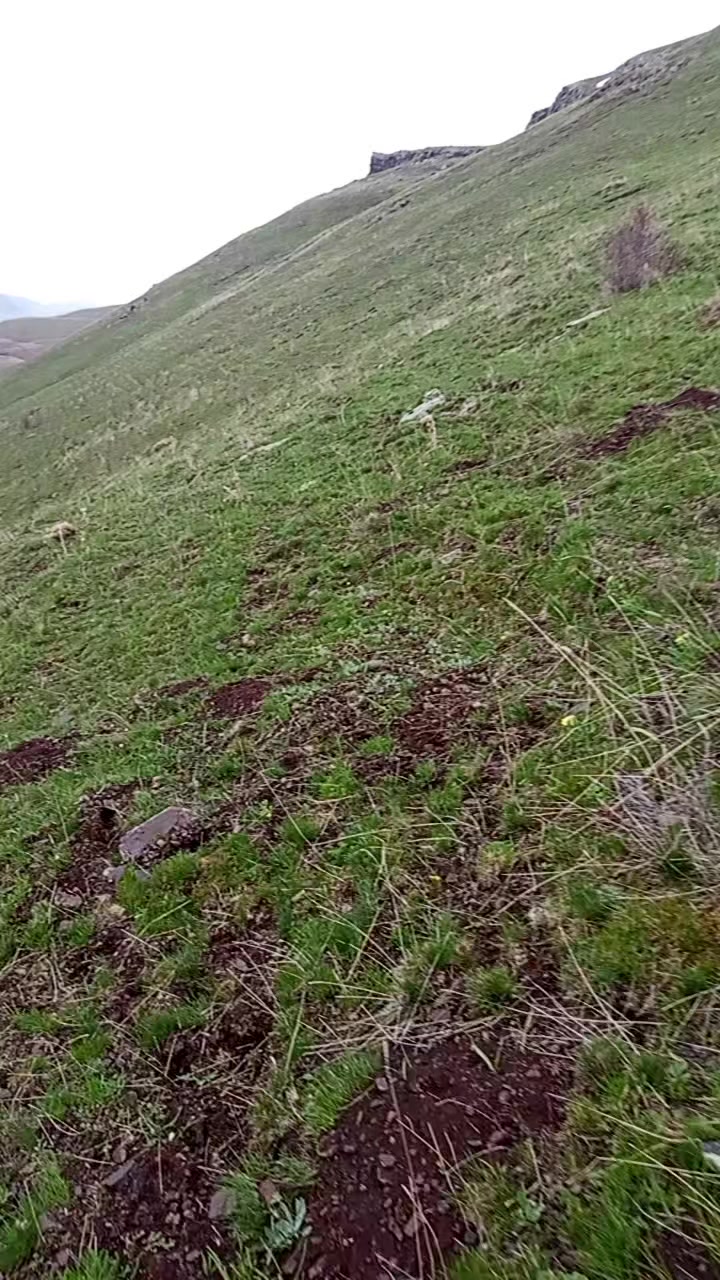 @sezer aydın