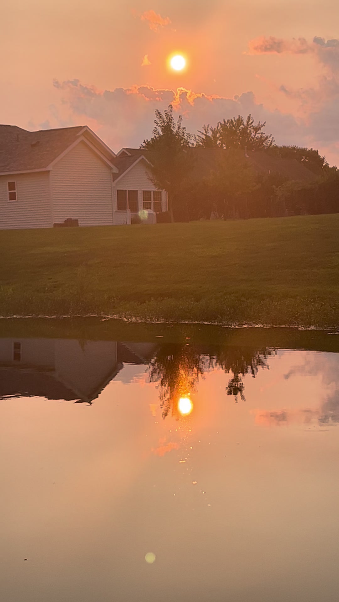 @Leese 🌹