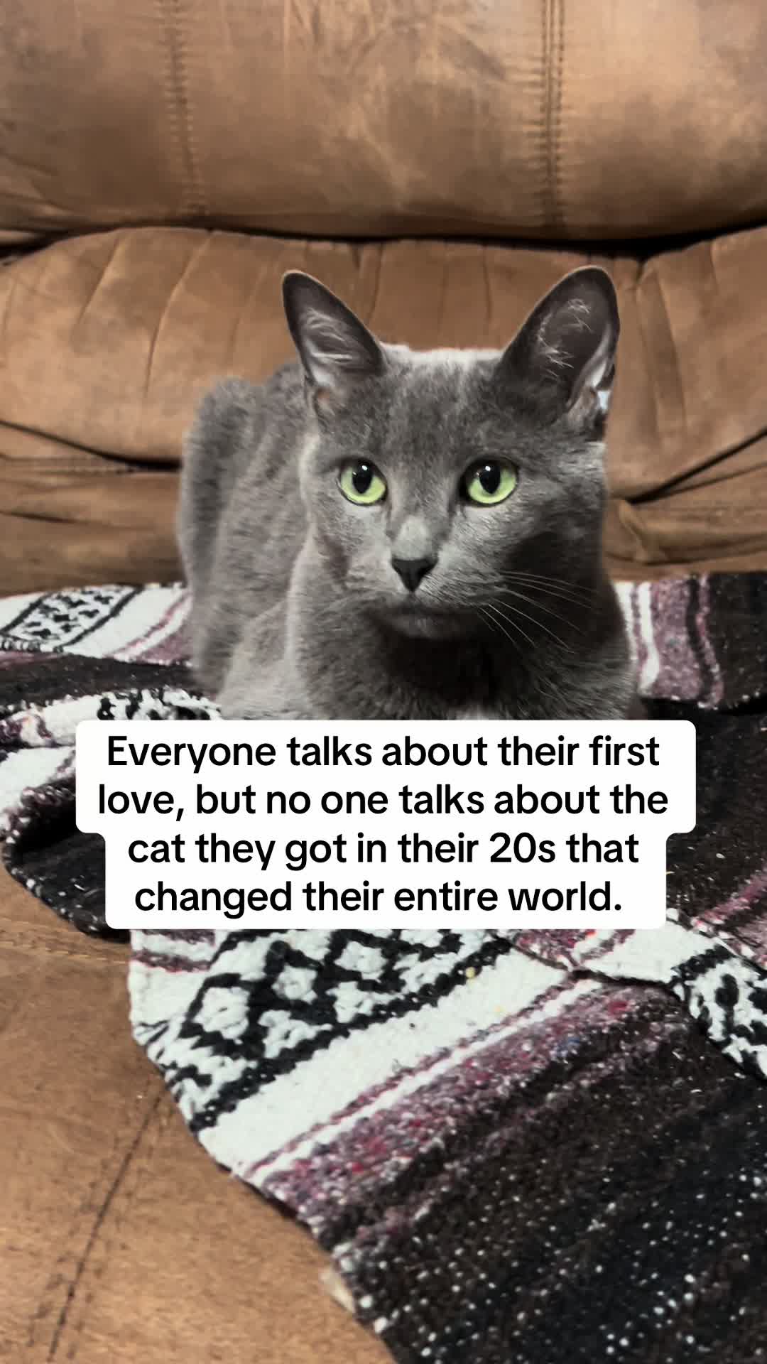 @Five.Meows