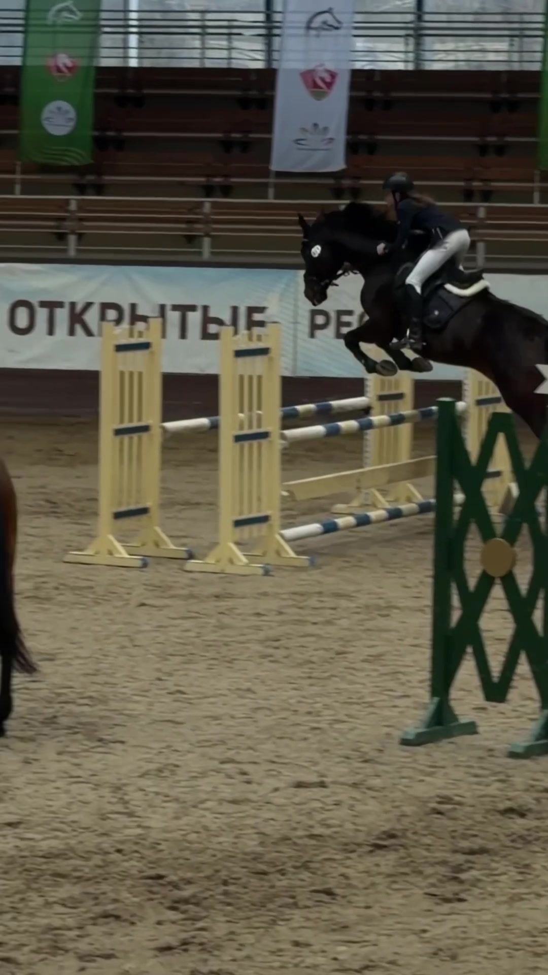 @sashixx115