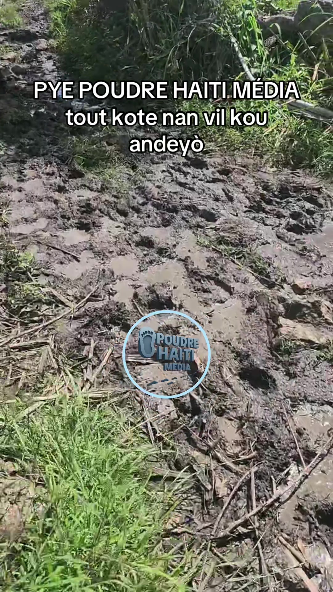 @pyepoudrehaitimedia