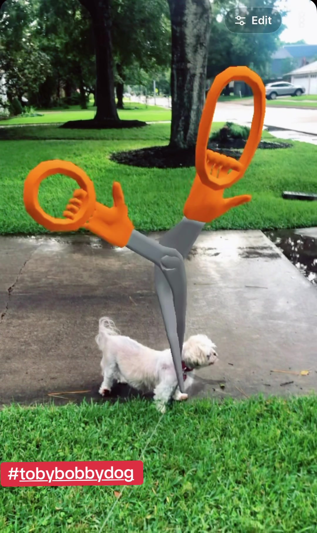 @Tobybobbydog