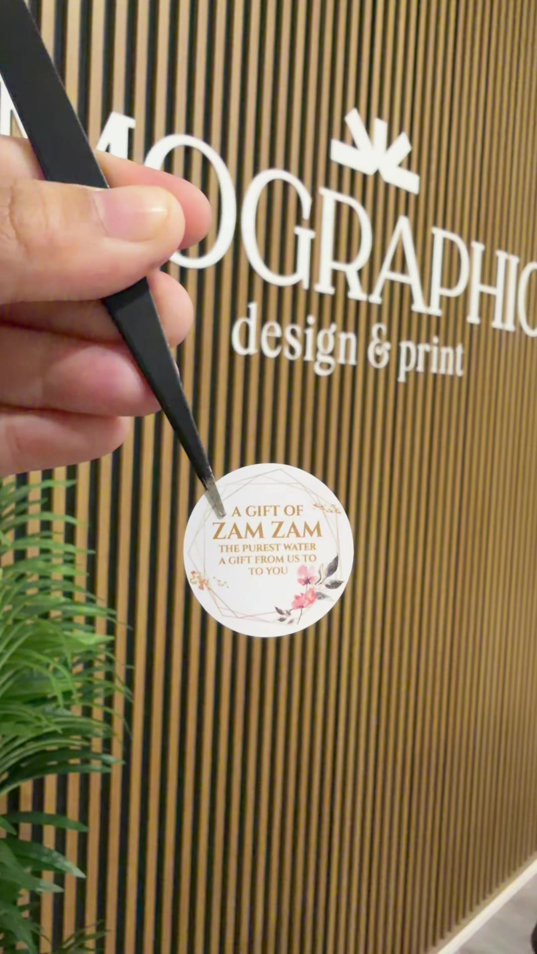 @Mographic