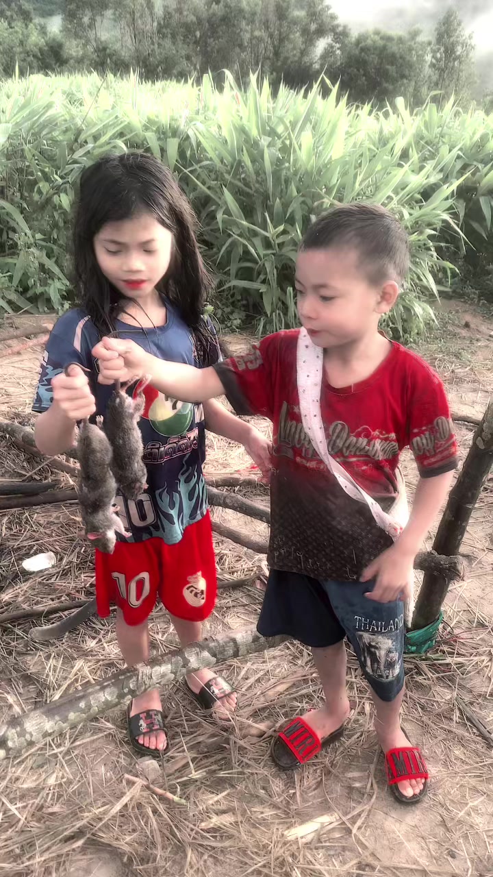 @Họ bán