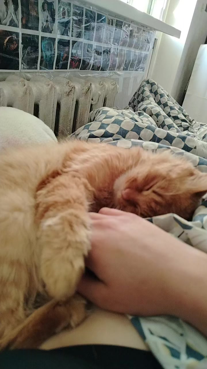 @орёл на связи